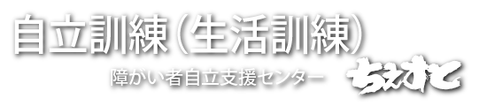 自立訓練（生活訓練）　ちぇすと